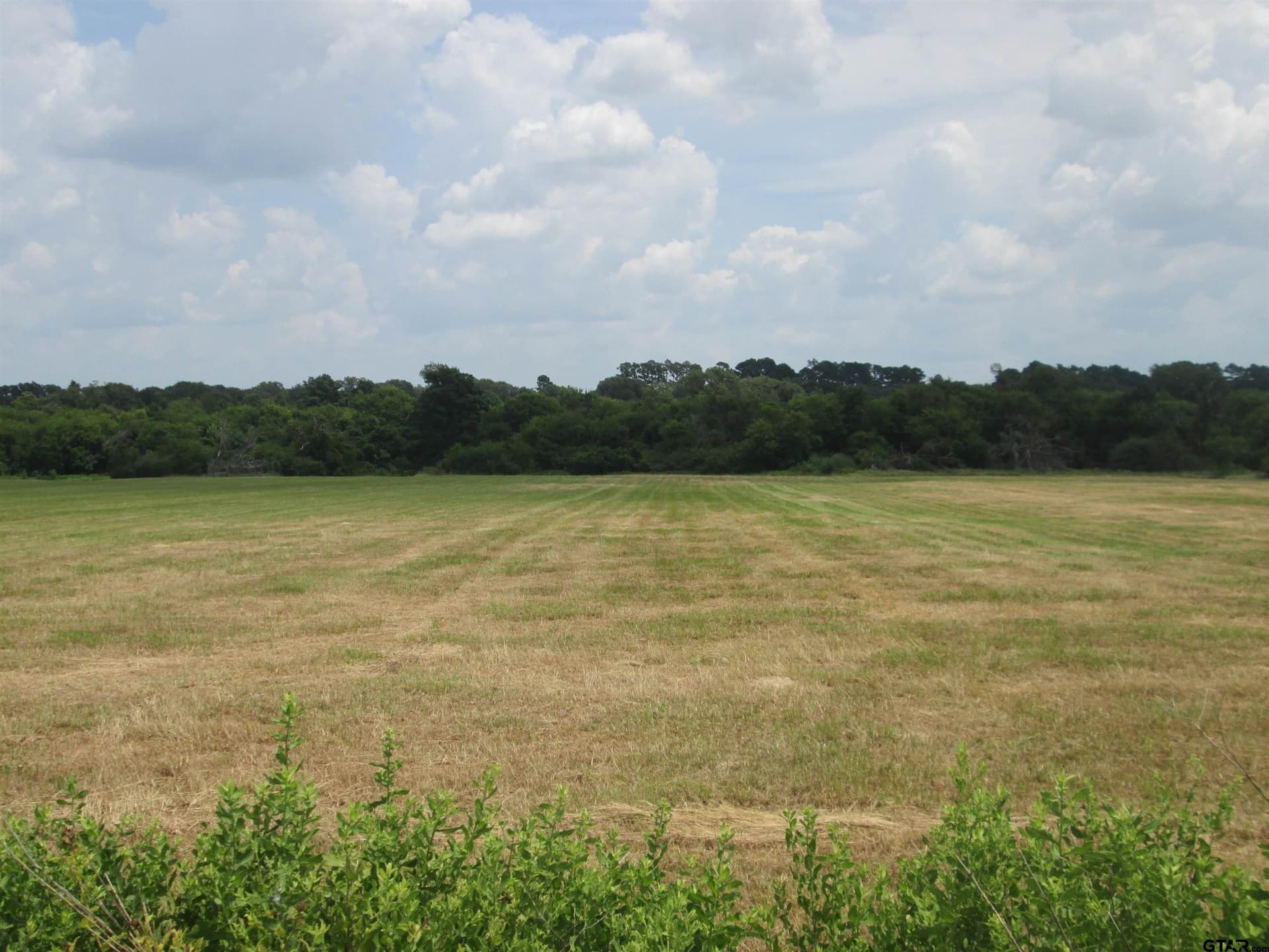 18.25 acres in Smith County gallery image 2