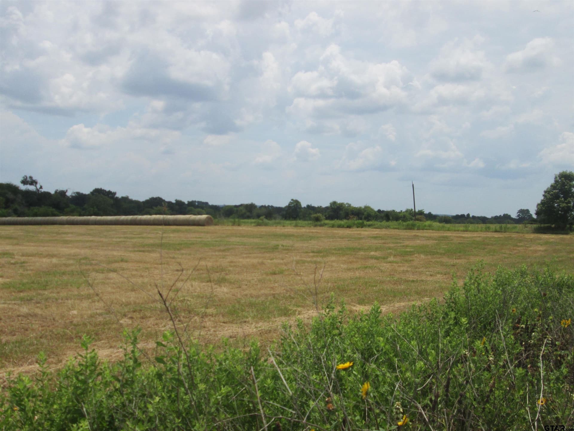 18.25 acres in Smith County gallery image 3