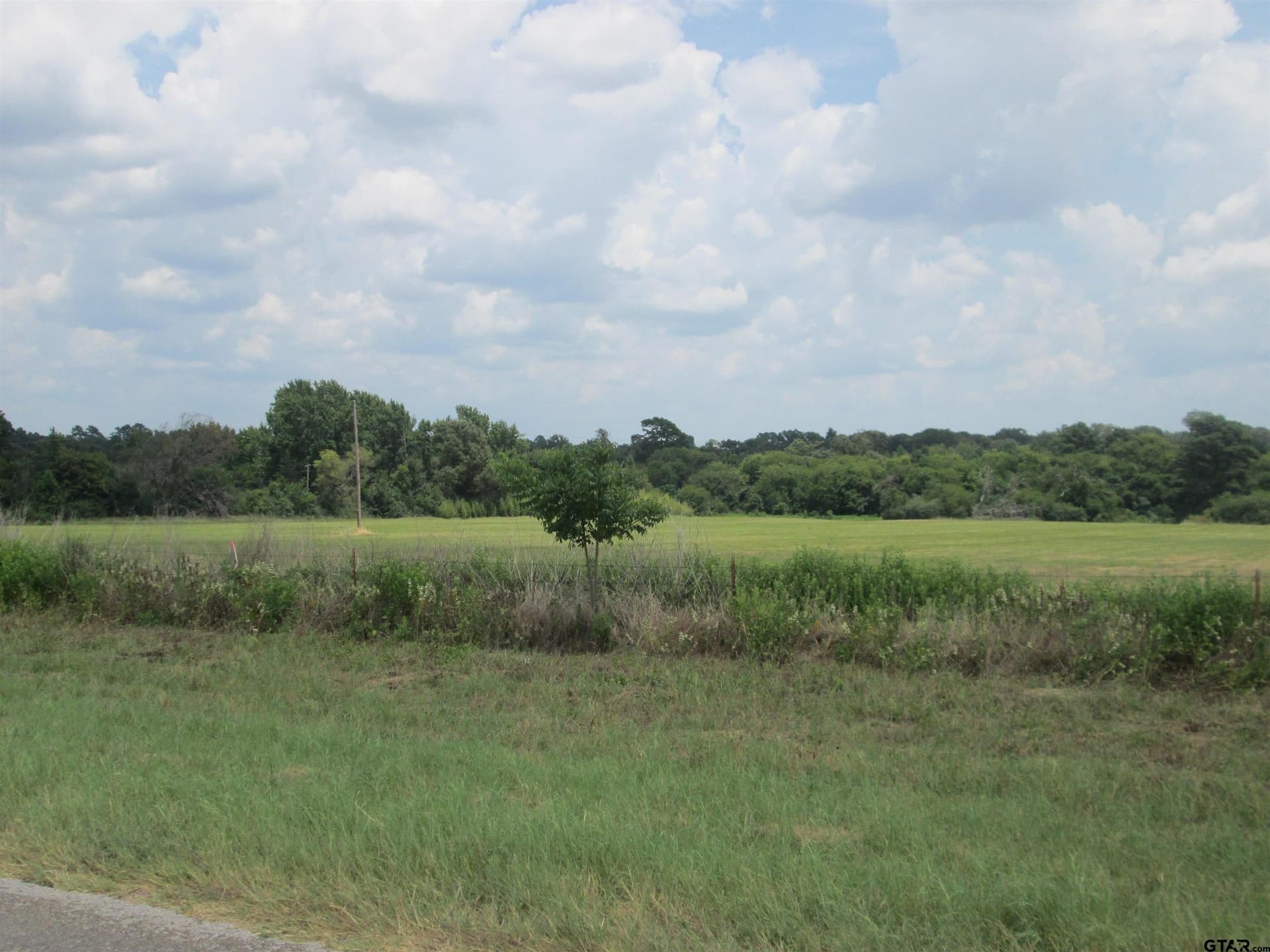 18.25 acres in Smith County gallery image 4