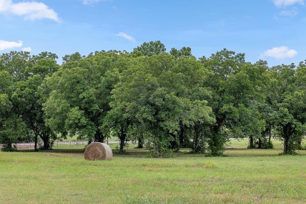 15 acres in Washington County gallery image 2