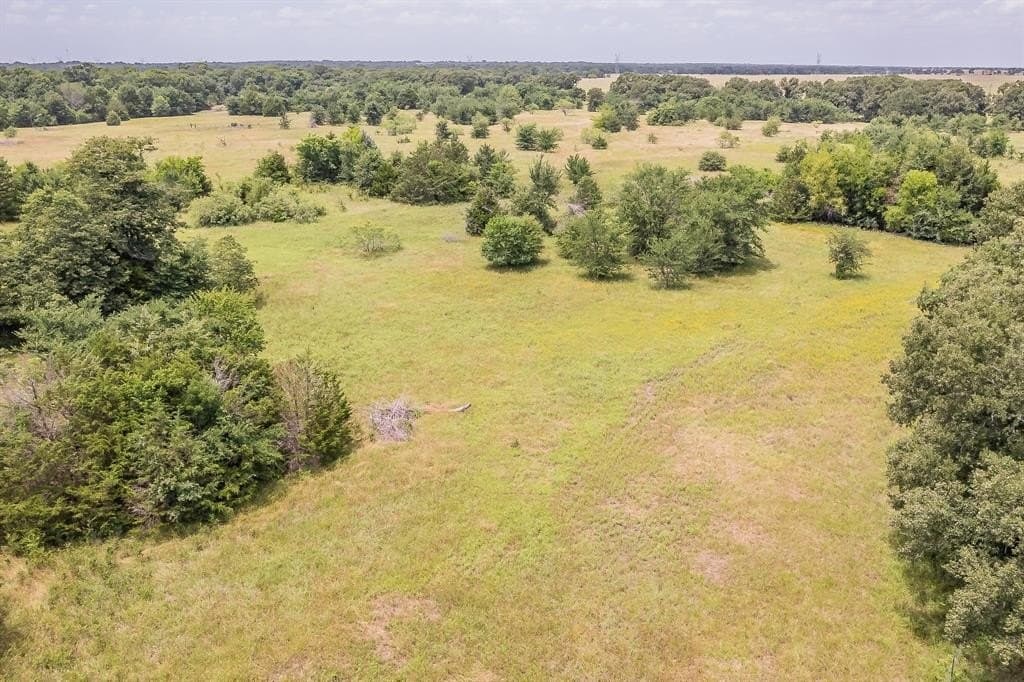 51.17 acres in Kaufman County gallery image 4