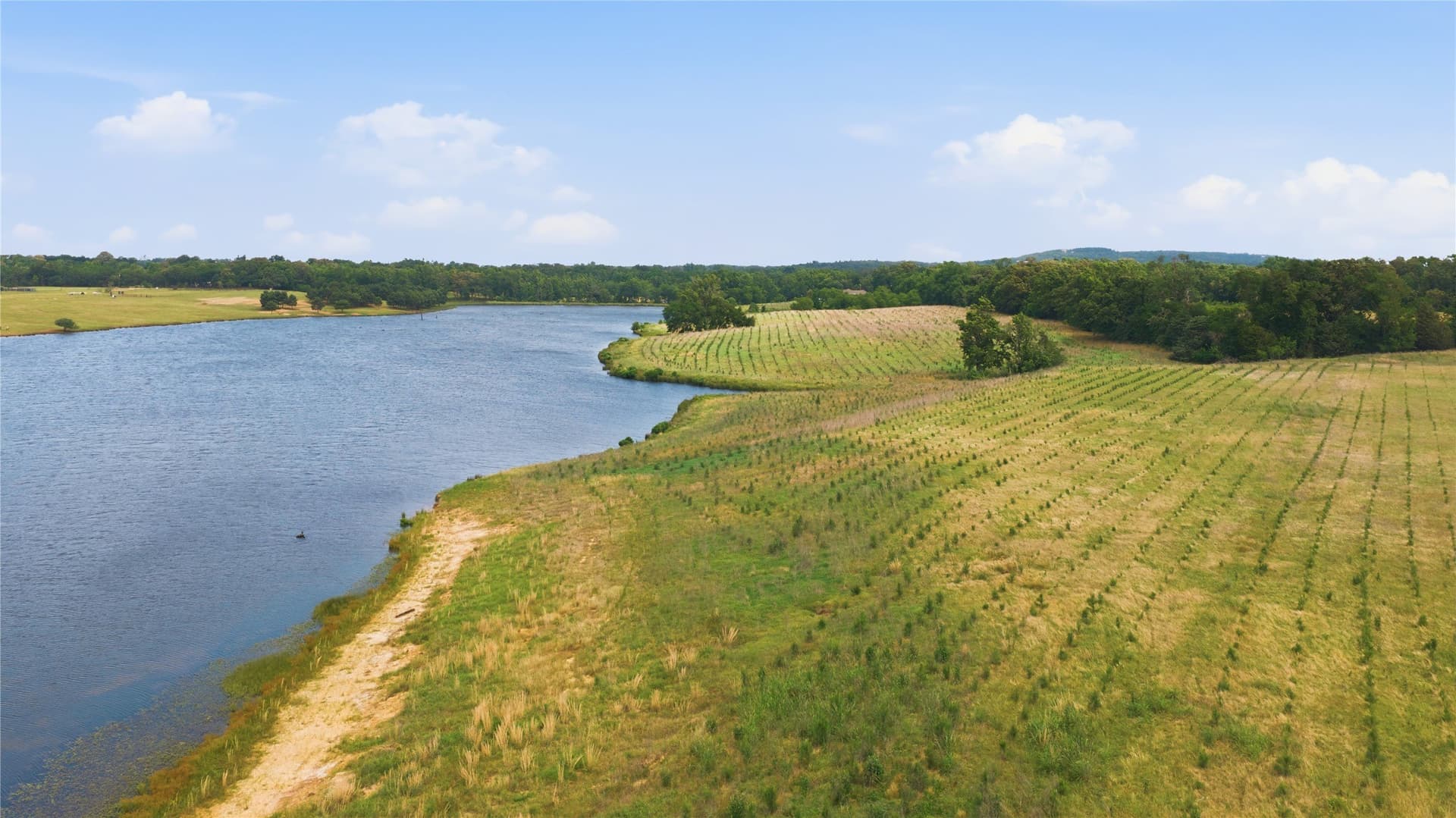 124.01 acres in Henderson County - photo 14