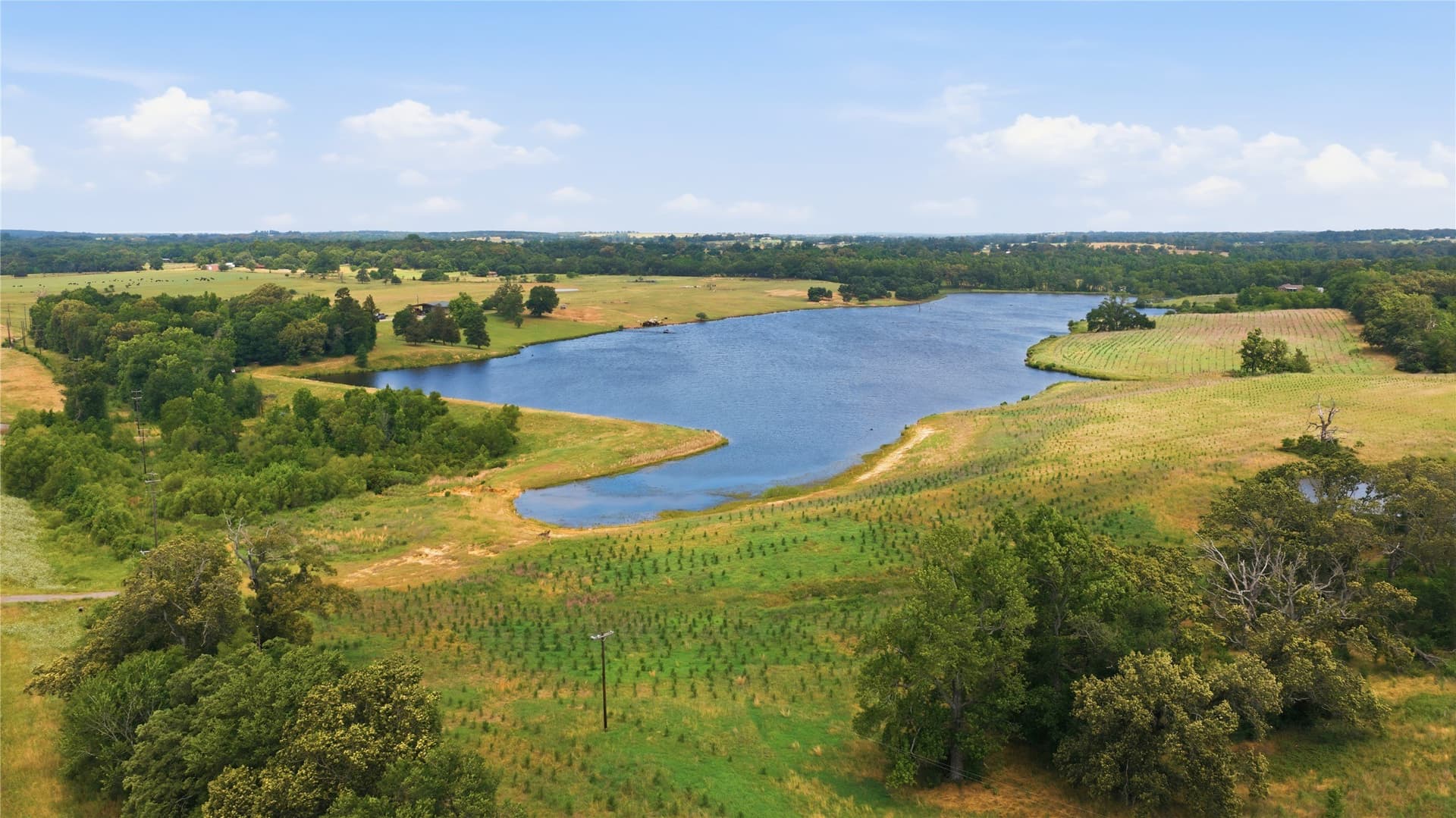 124.01 acres in Henderson County - photo 3