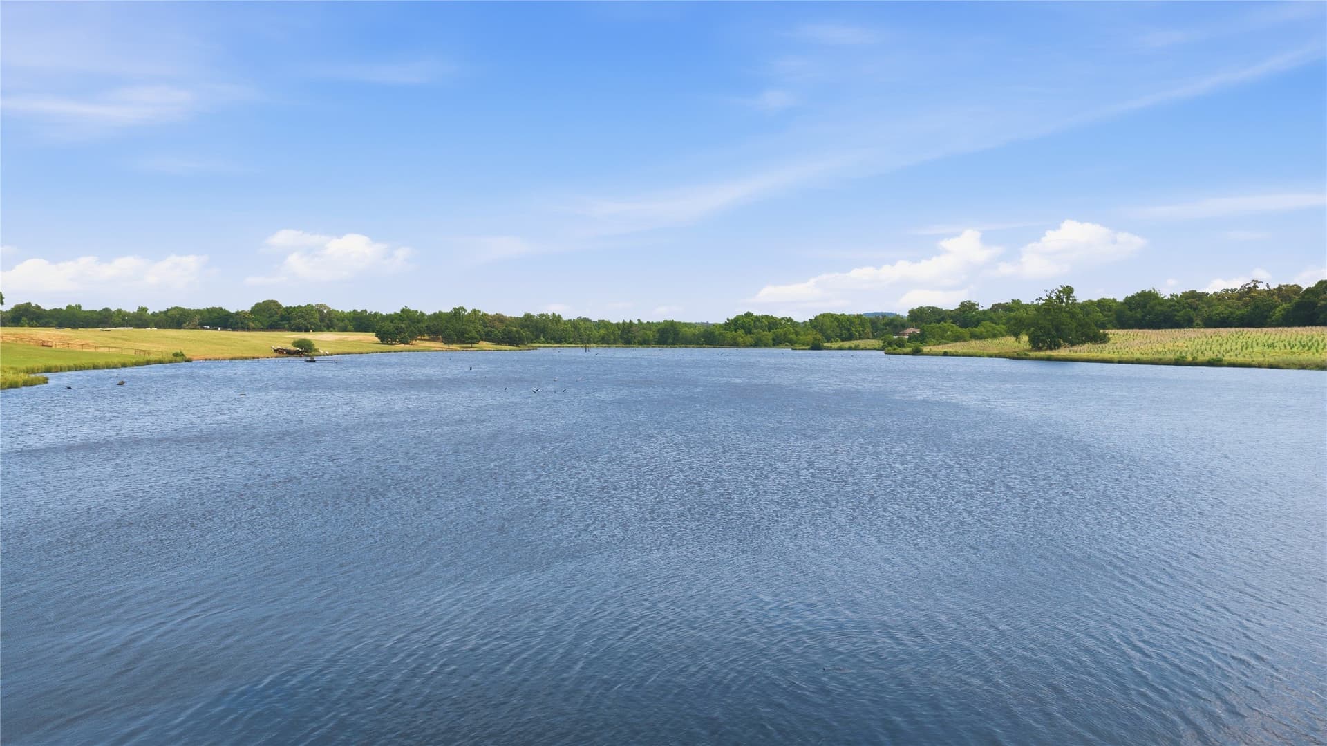 124.01 acres in Henderson County - photo 20