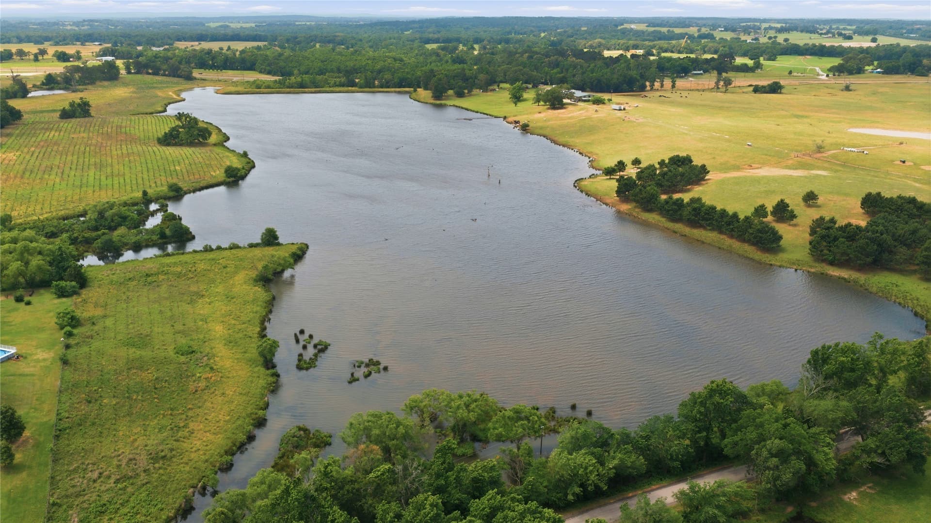 124.01 acres in Henderson County - photo 5