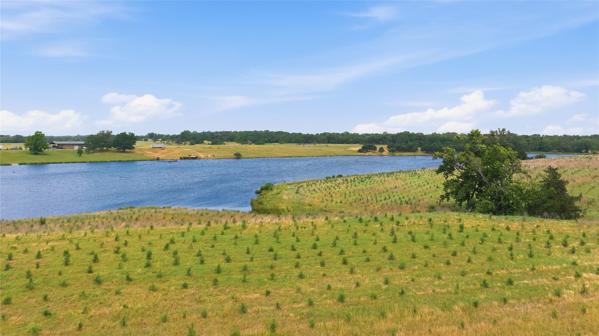 124.01 acres in Henderson County - photo 15
