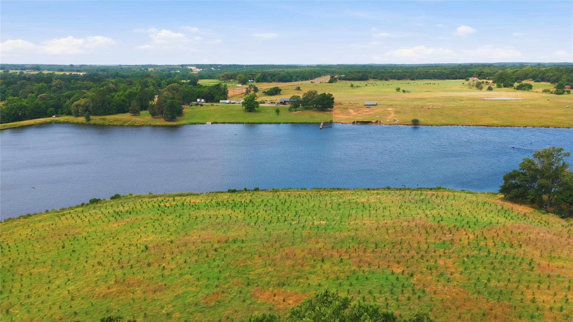 124.01 acres in Henderson County - photo 7