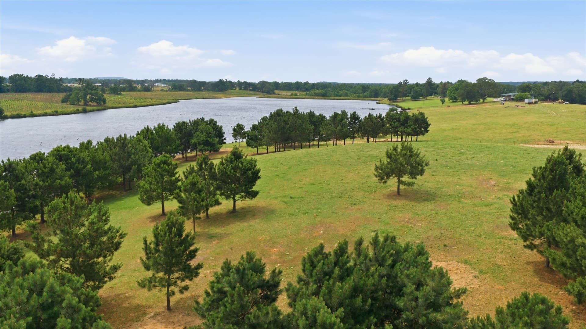124.01 acres in Henderson County - photo 17