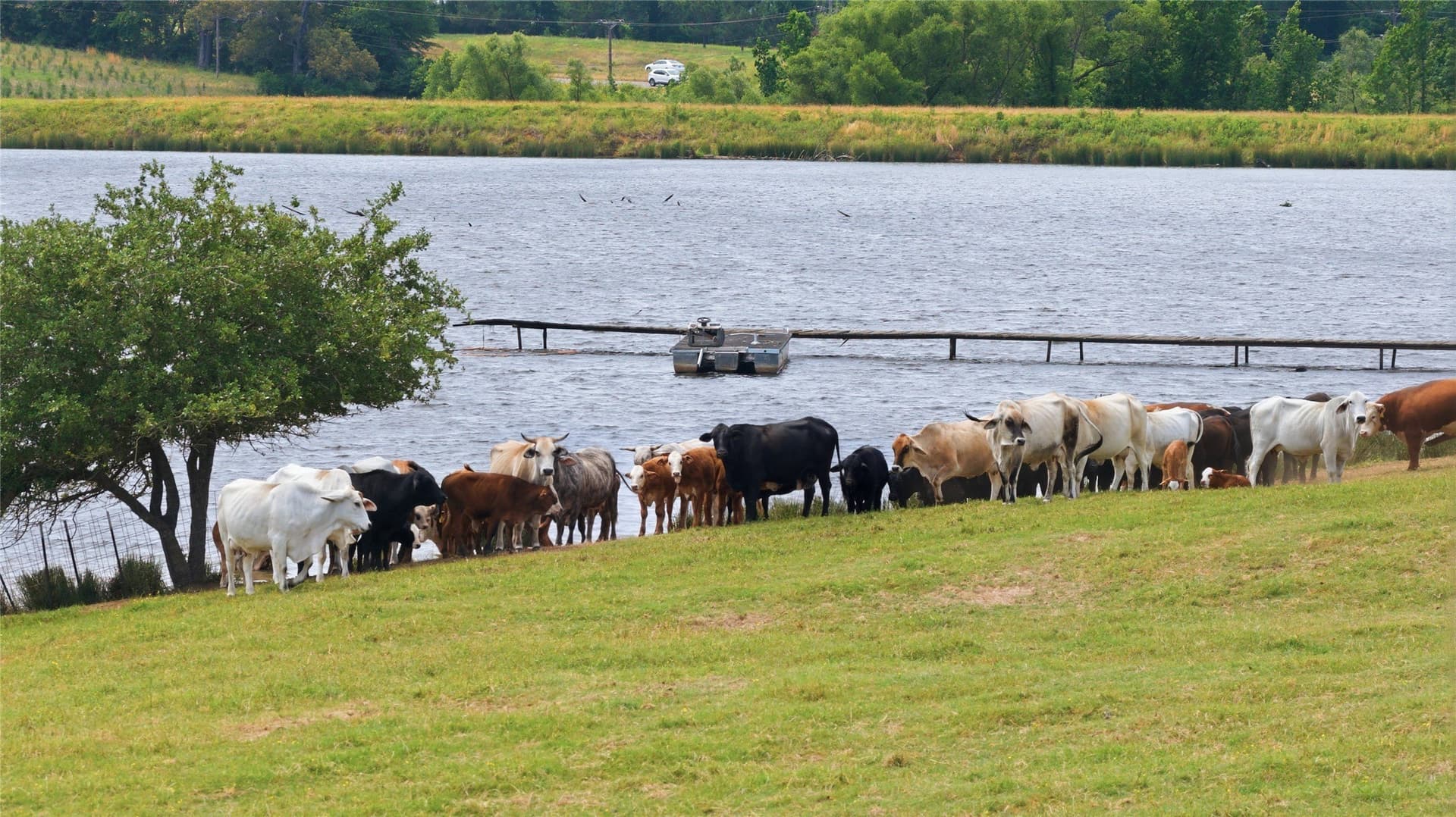 124.01 acres in Henderson County - photo 18