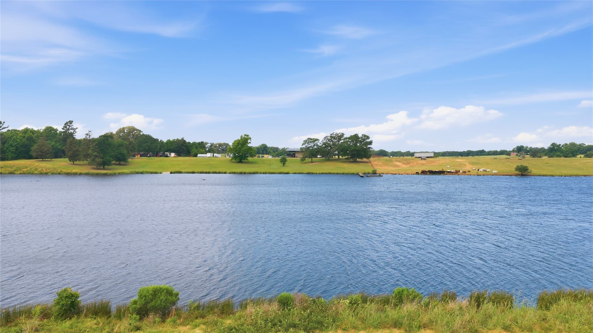 124.01 acres in Henderson County - photo 19