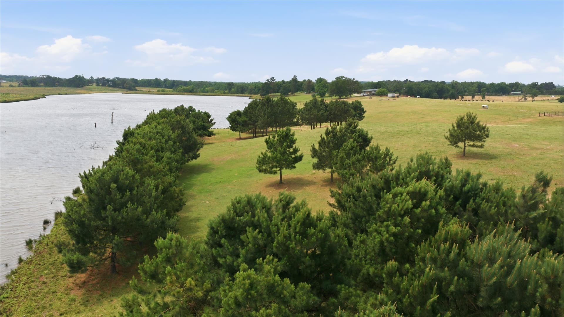124.01 acres in Henderson County - photo 16