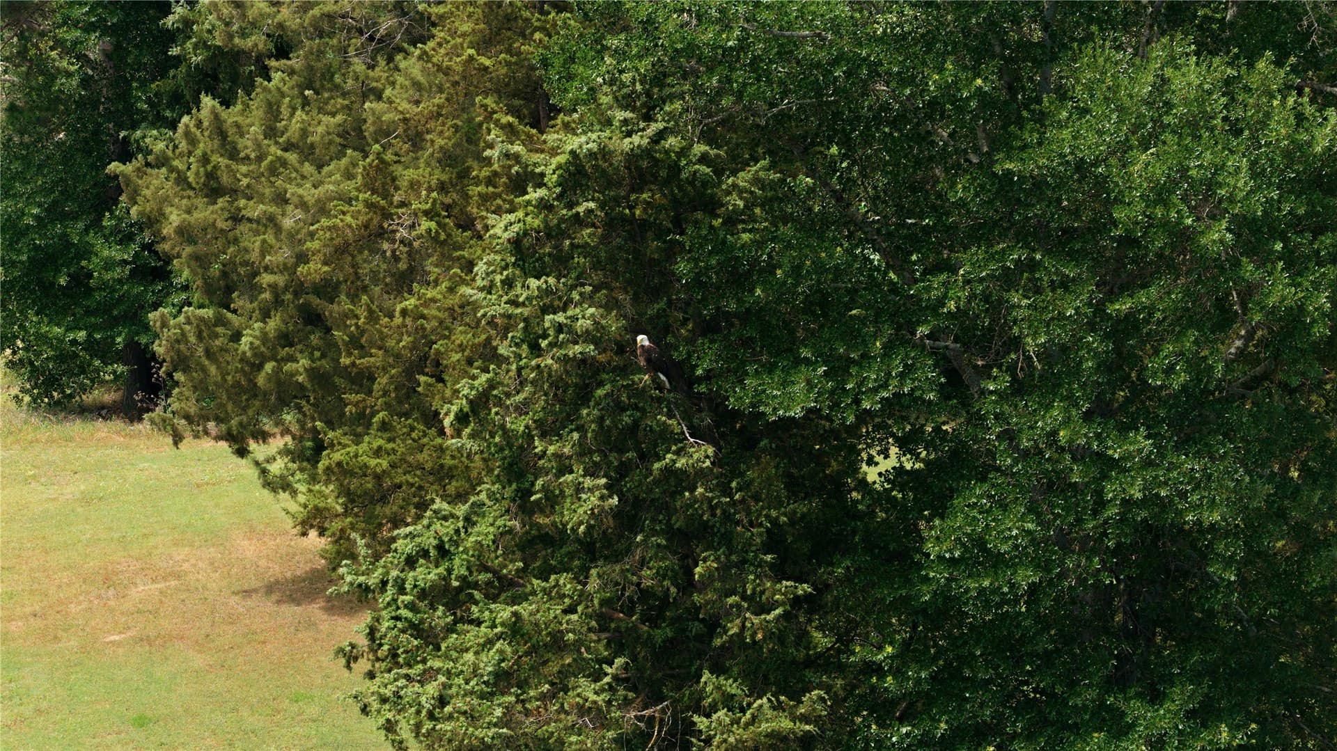 124.01 acres in Henderson County - photo 29