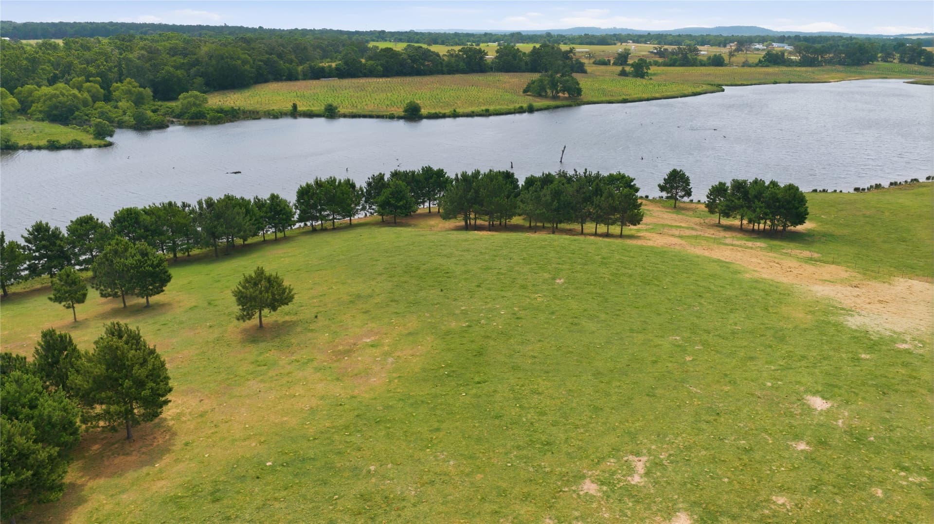 124.01 acres in Henderson County - photo 12