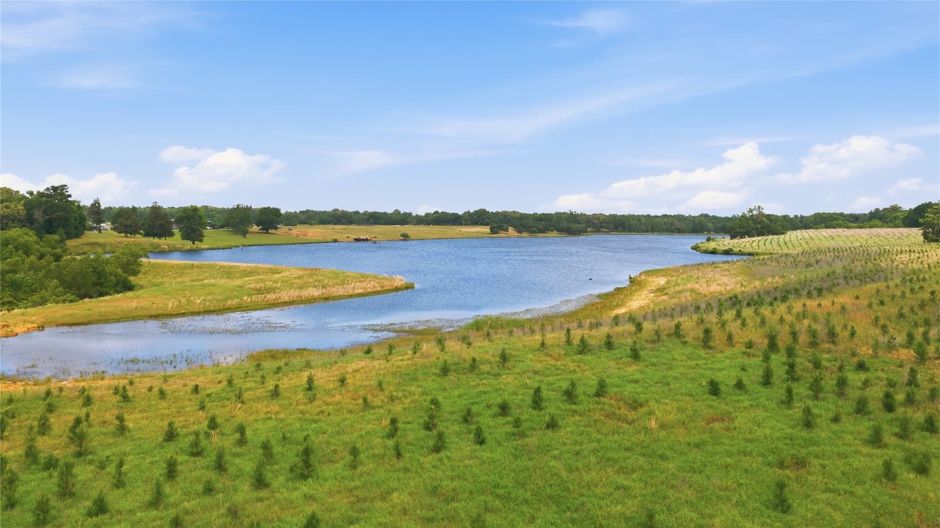 124.01 acres in Henderson County - photo 13