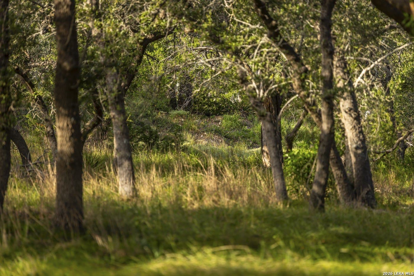 72.89 acres in Comal County - photo 87