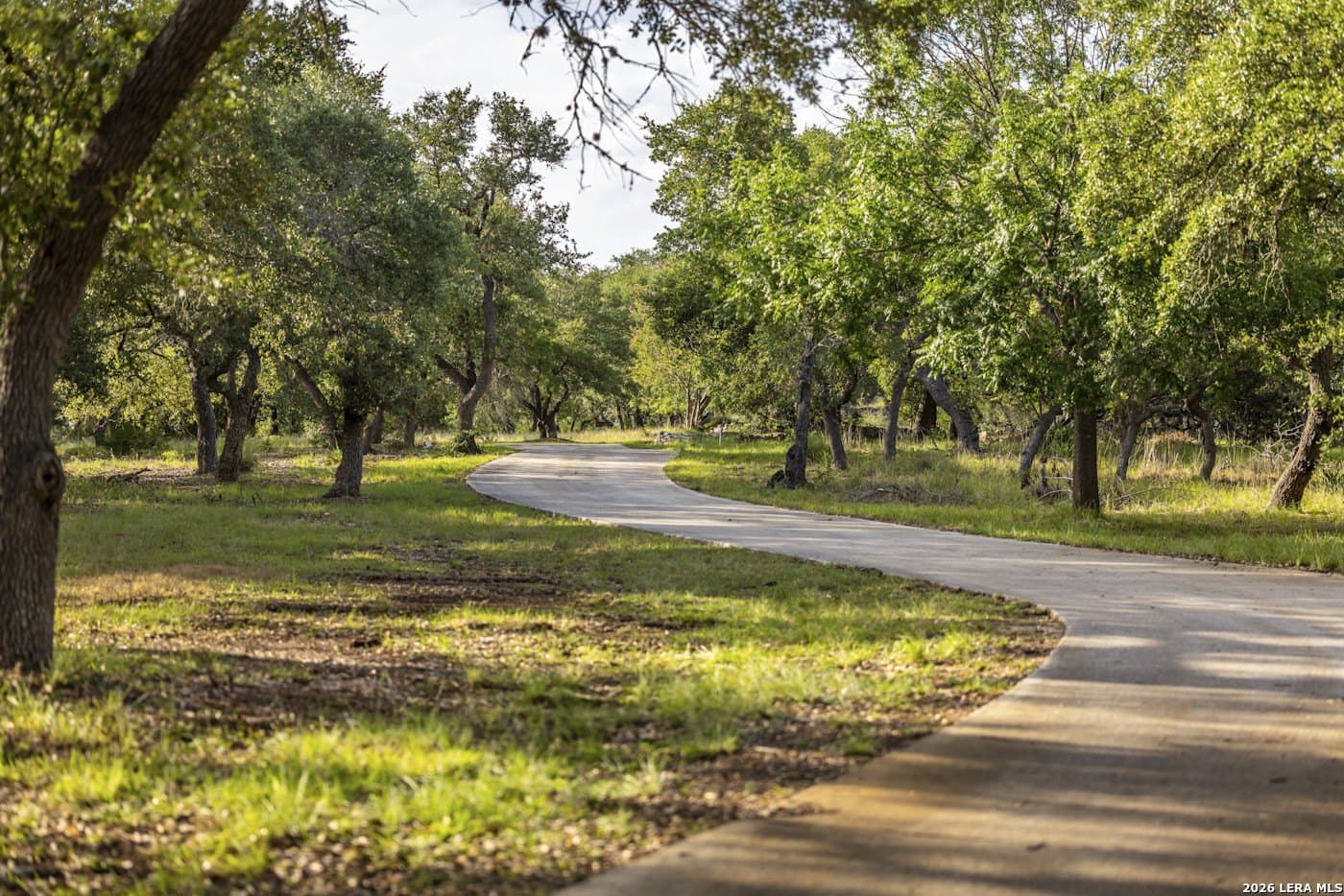 72.89 acres in Comal County - photo 11