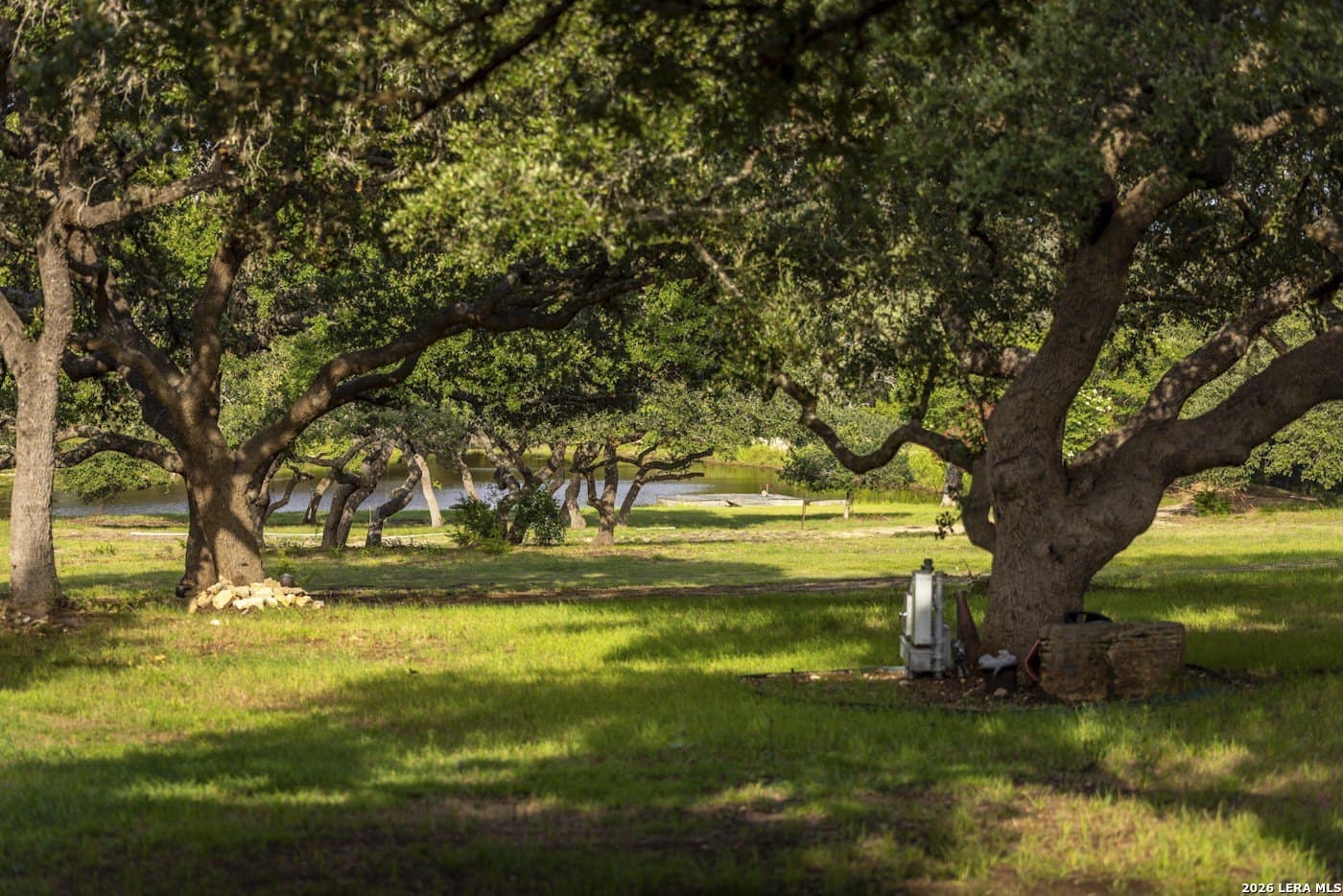 72.89 acres in Comal County - photo 89