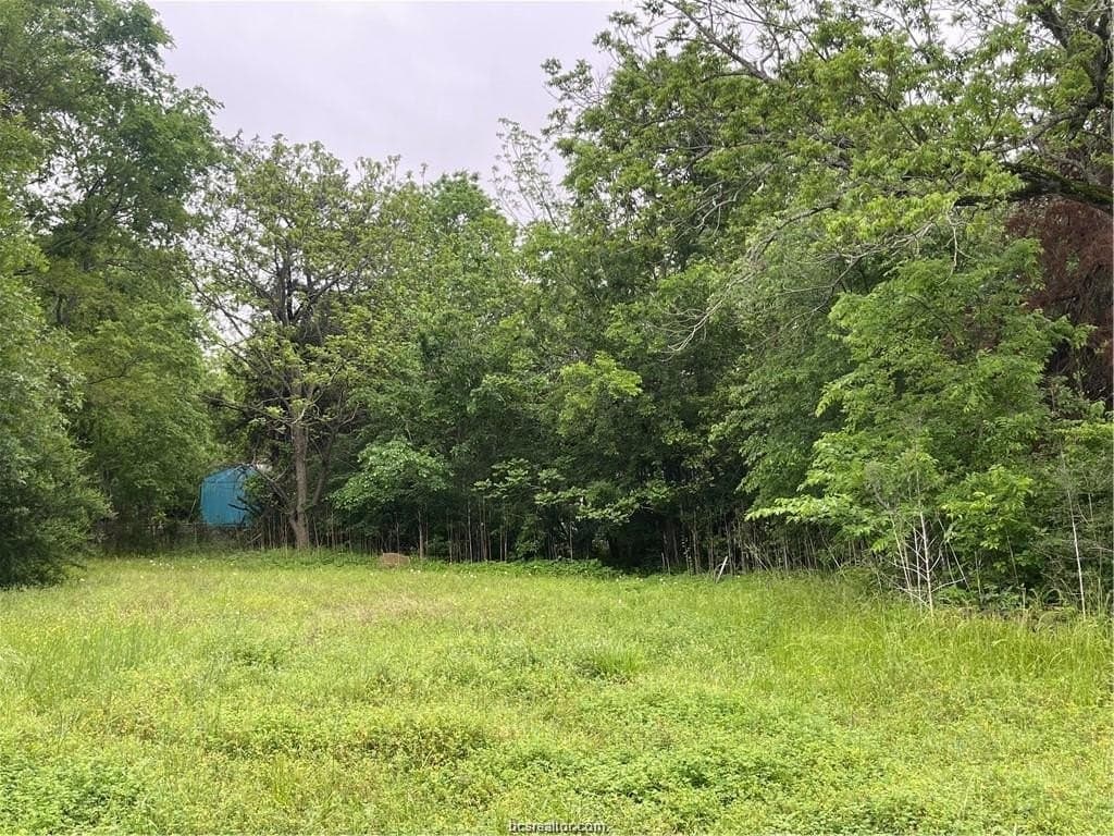 0.25 acres in Brazos County featured view