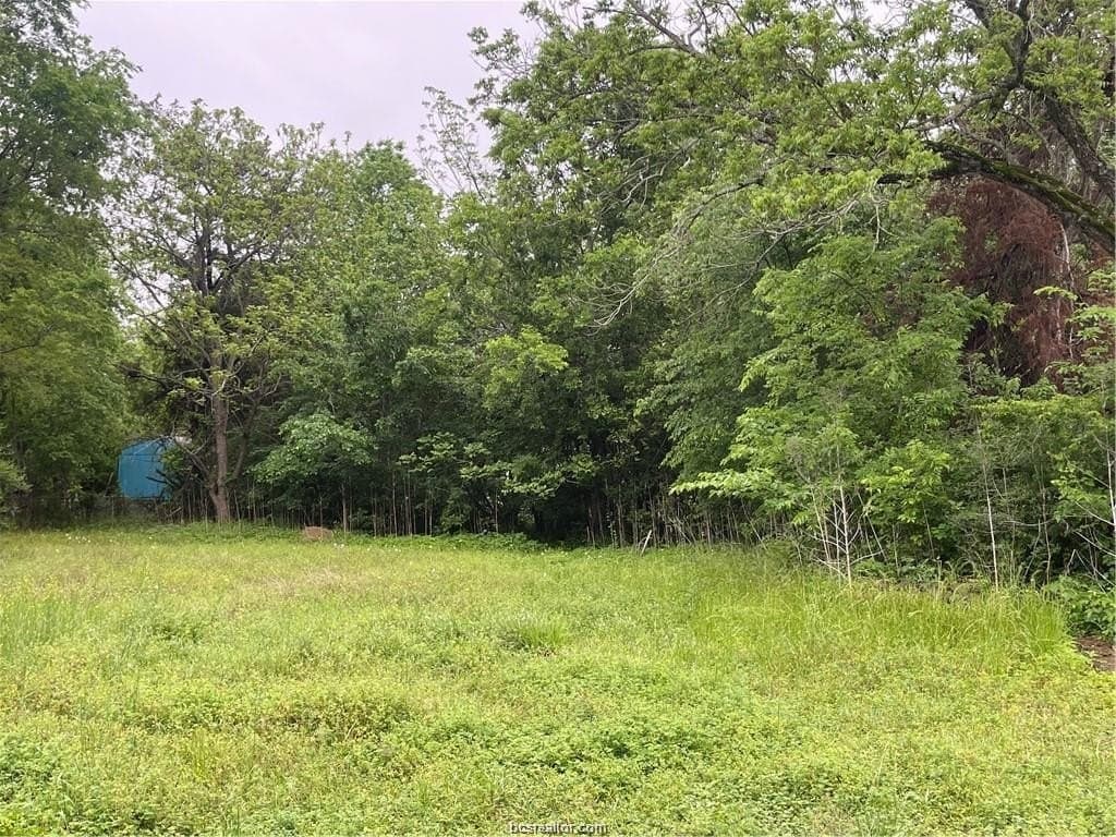 0.25 acres in Brazos County - photo 6