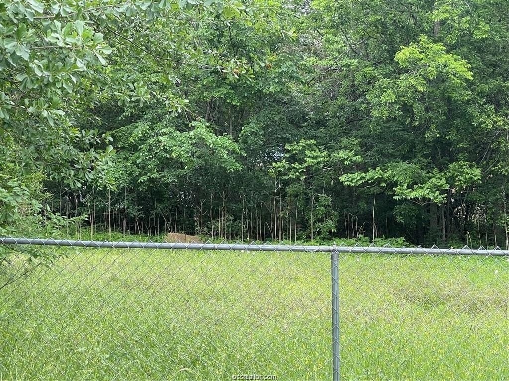 0.25 acres in Brazos County gallery image 2
