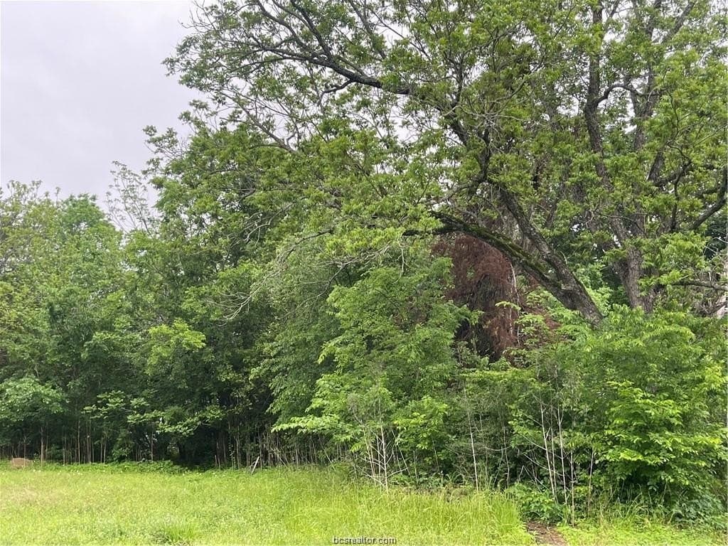 0.25 acres in Brazos County gallery image 4