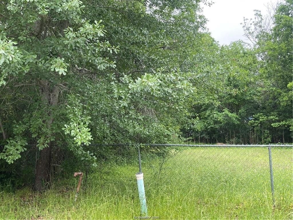 0.25 acres in Brazos County gallery image 3