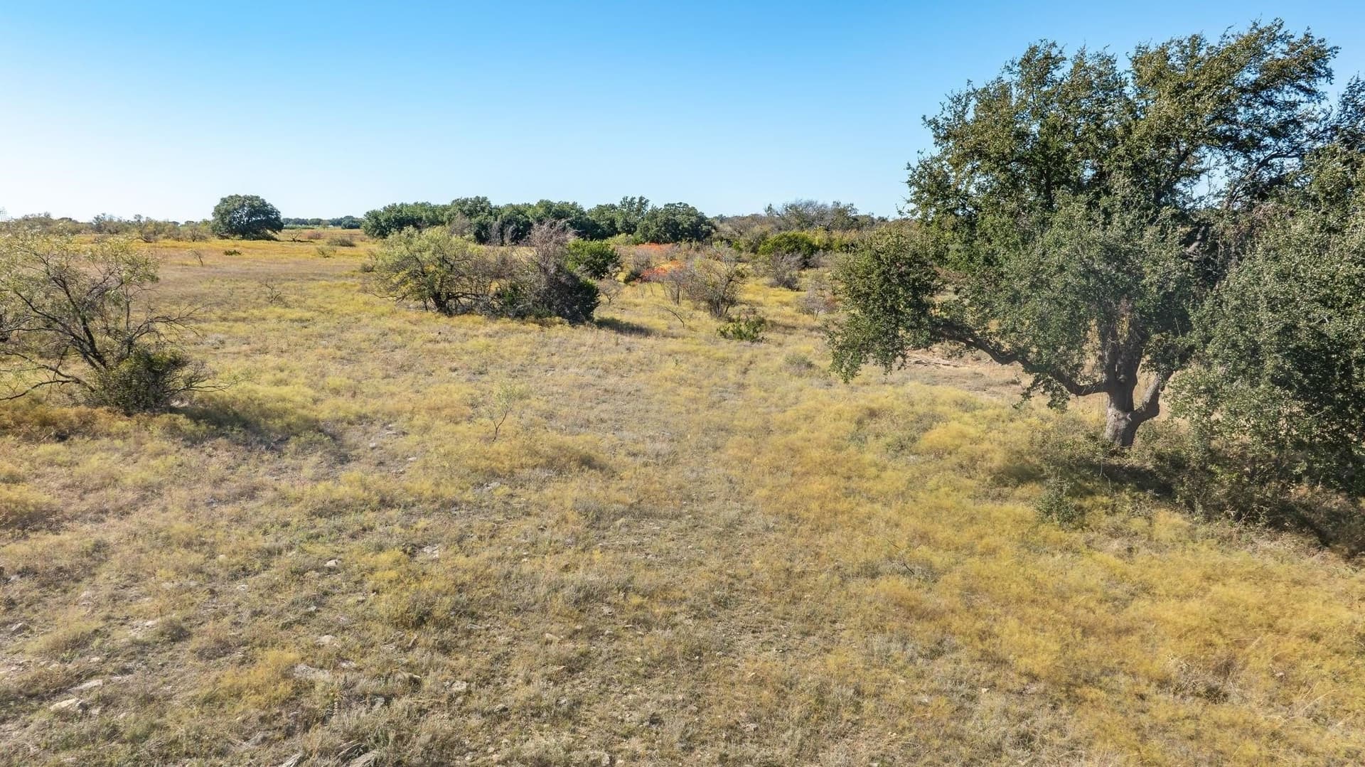 10.01 acres in Comanche County - photo 6