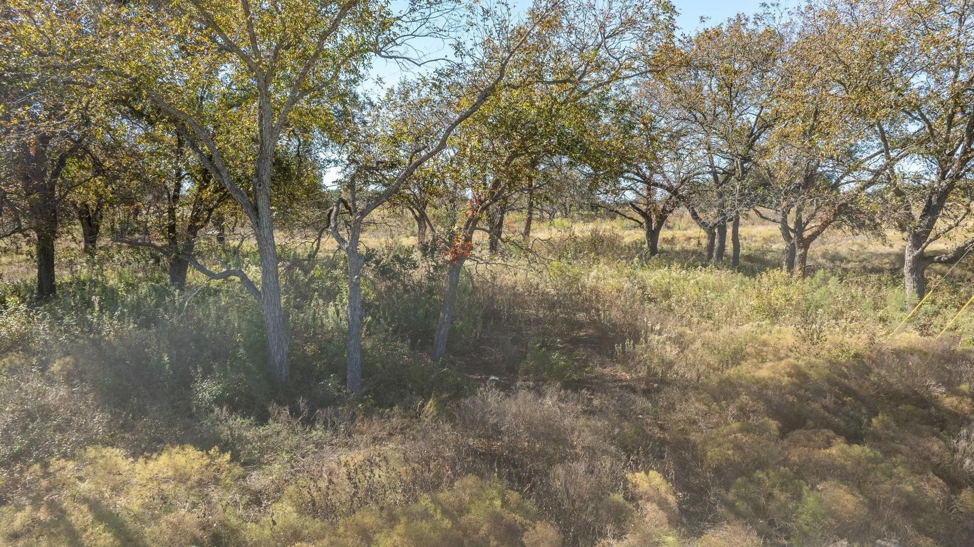 10.01 acres in Comanche County - photo 9