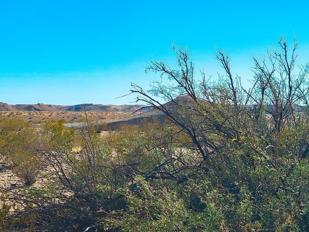 7 acres in Brewster County - photo 14