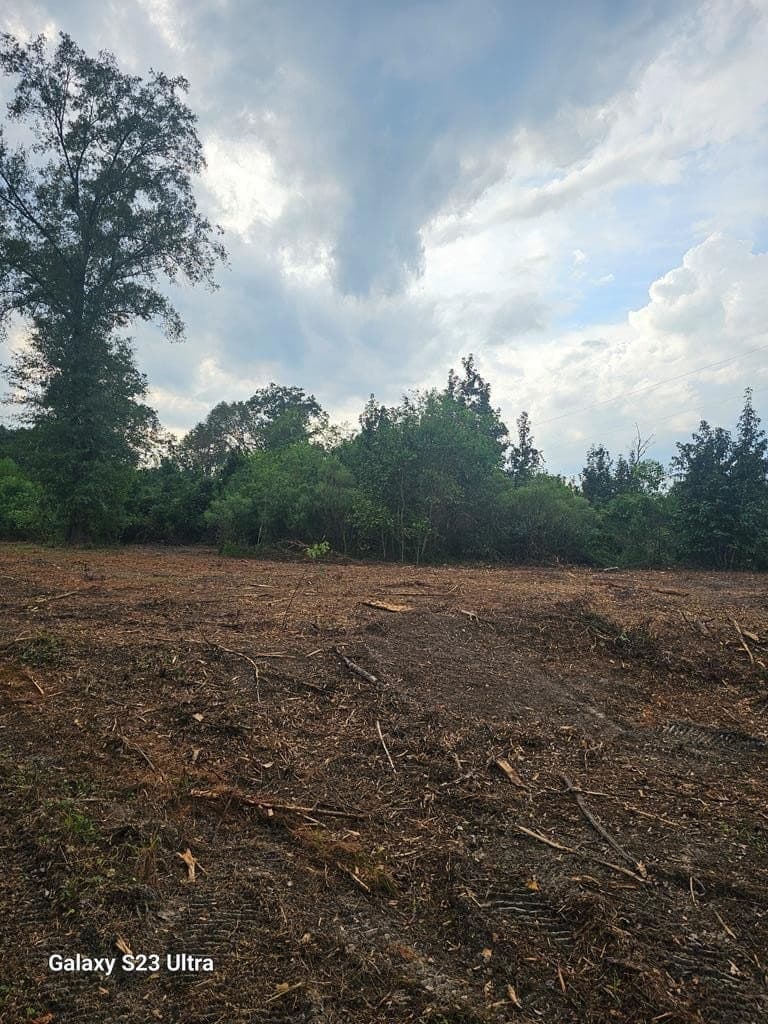 10.59 acres in Texas County - photo 24