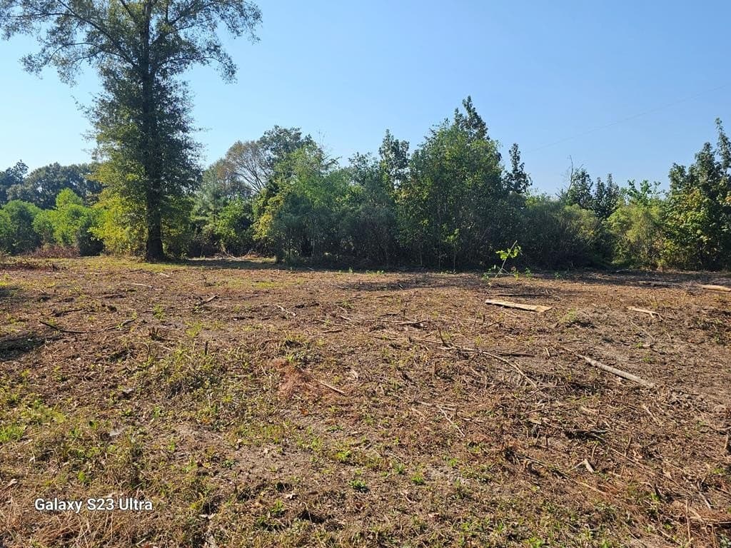 10.59 acres in Texas County - photo 19