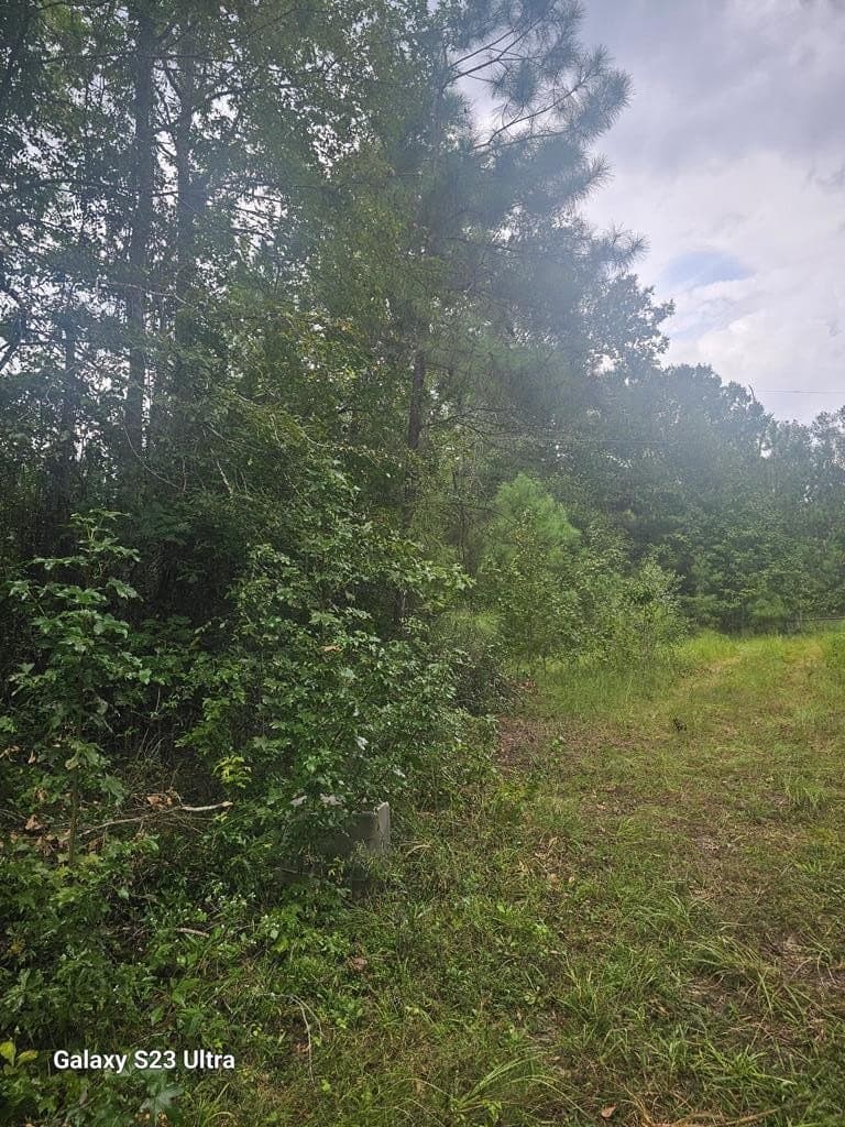 10.59 acres in Texas County - photo 30