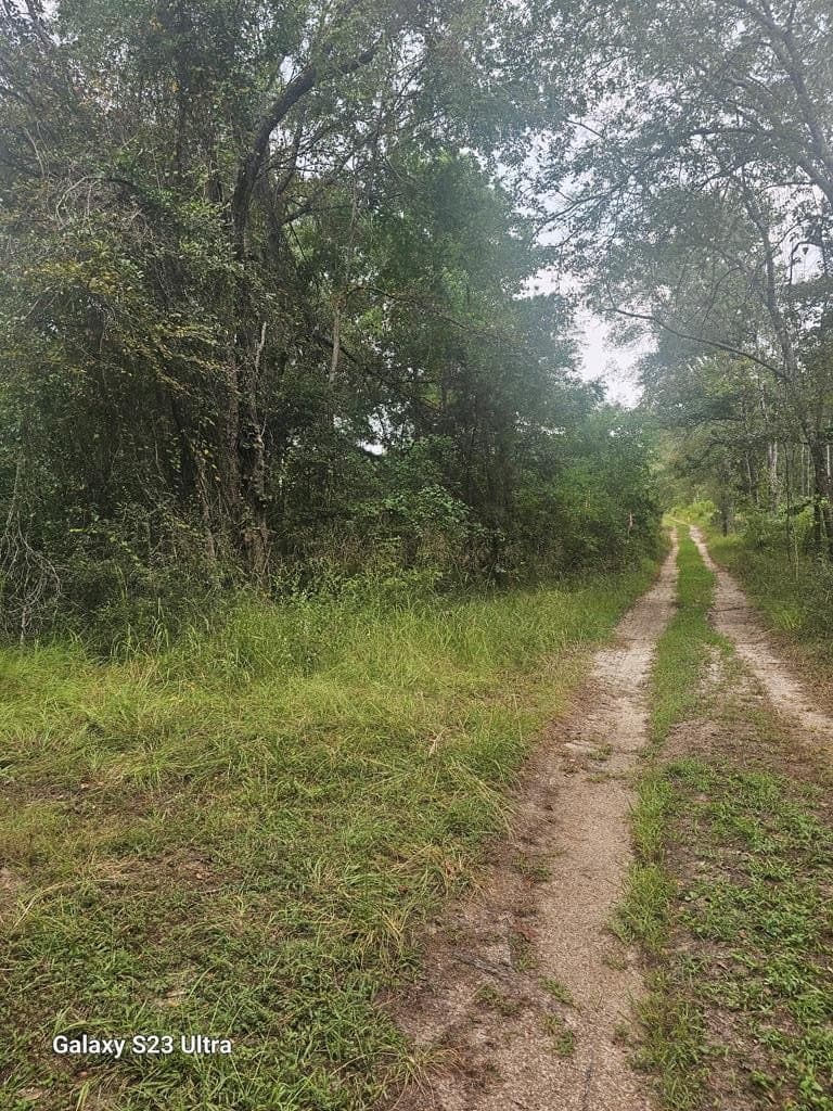 10.59 acres in Texas County - photo 28