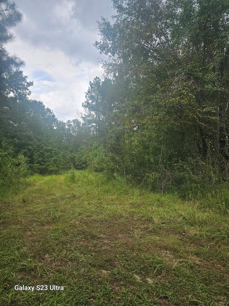 10.59 acres in Texas County - photo 29