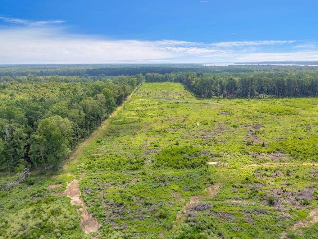 135.25 acres in Bowie County featured view