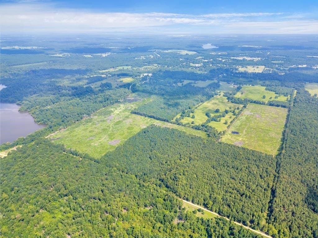 135.25 acres in Bowie County - photo 14
