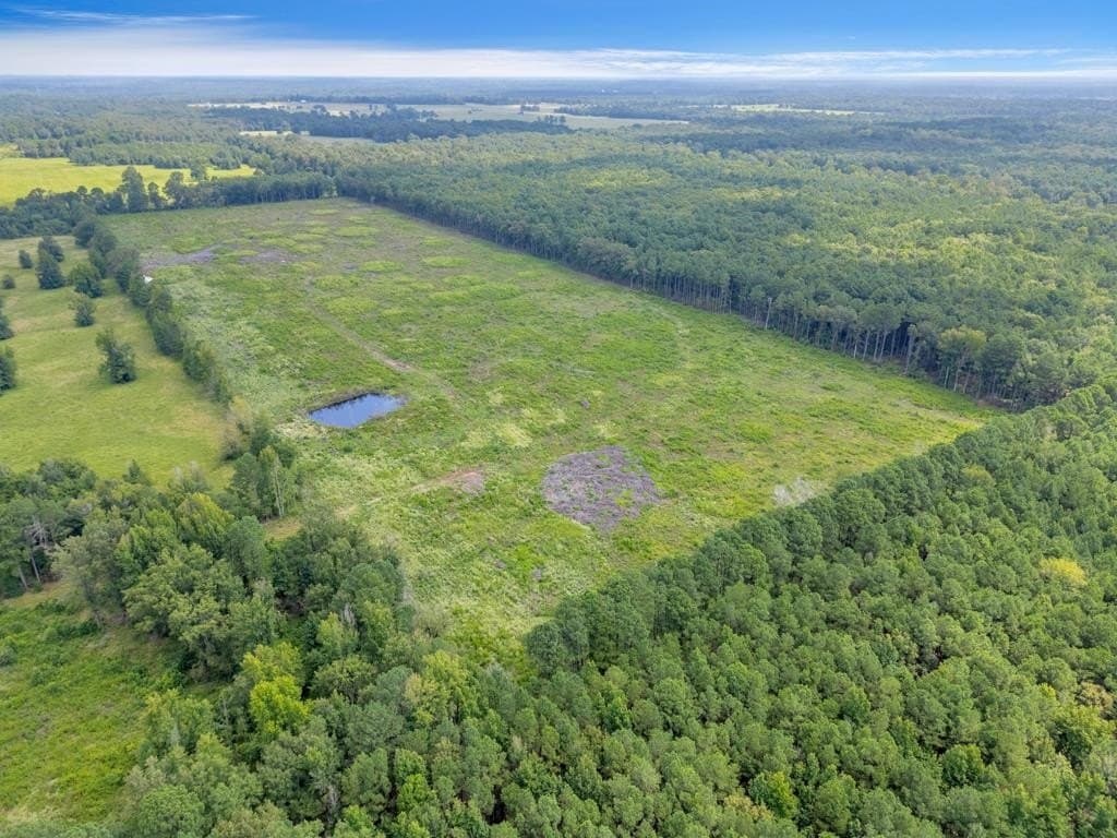 135.25 acres in Bowie County - photo 8