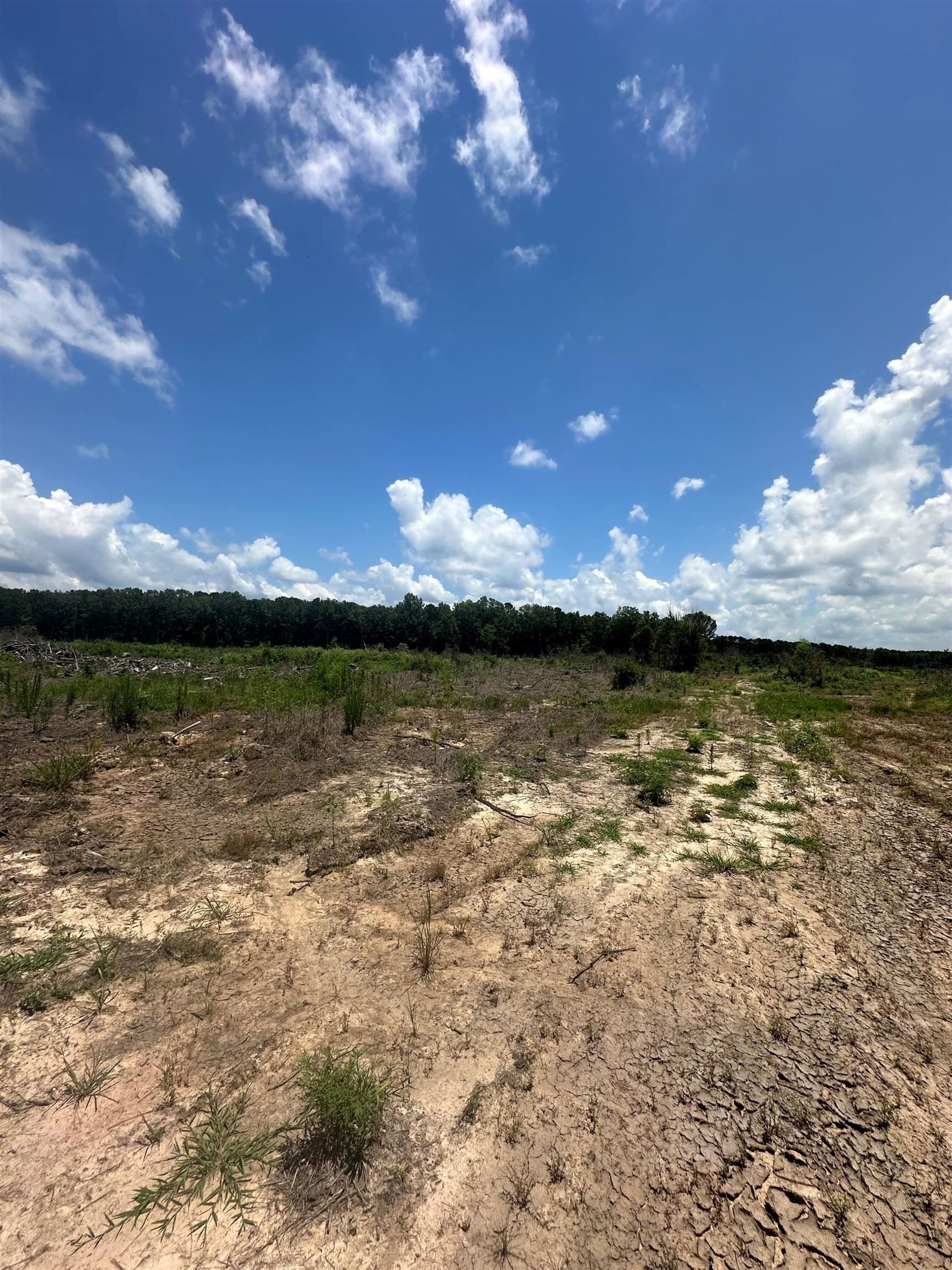 135.25 acres in Bowie County - photo 19