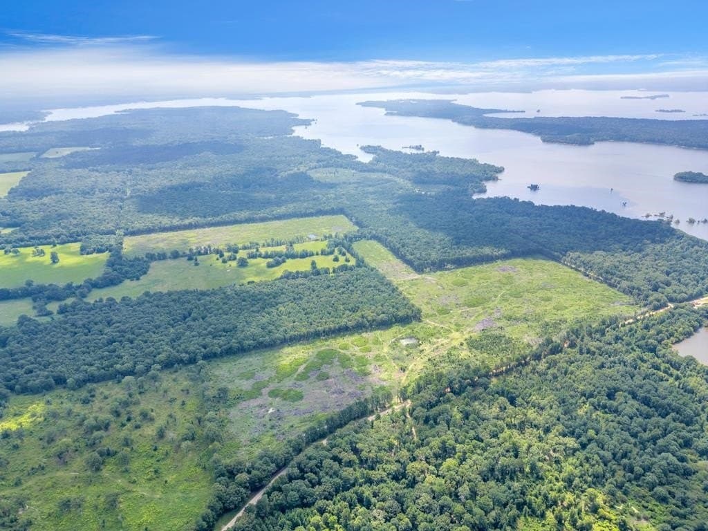 135.25 acres in Bowie County gallery image 2