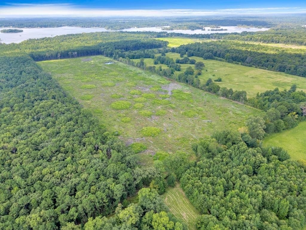 135.25 acres in Bowie County - photo 10