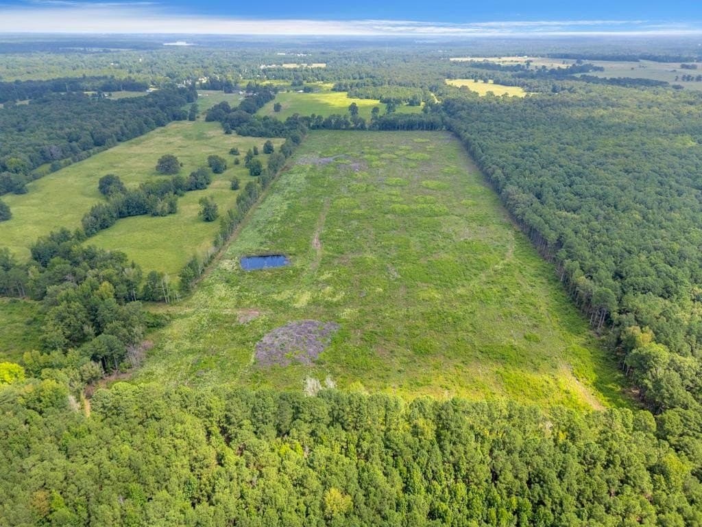 135.25 acres in Bowie County - photo 9