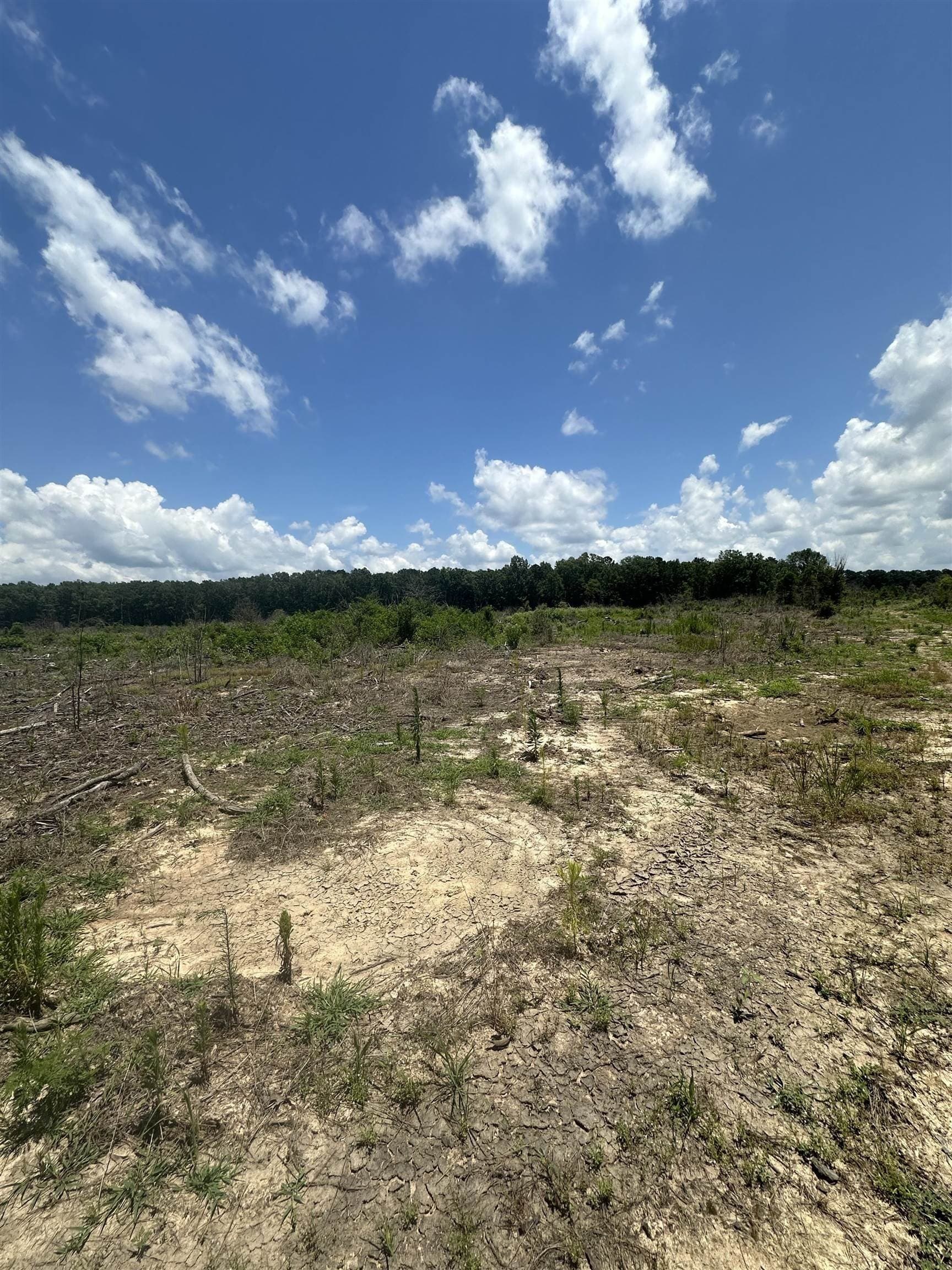 135.25 acres in Bowie County - photo 20