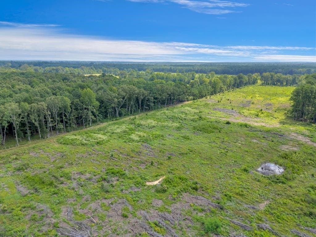 135.25 acres in Bowie County - photo 7