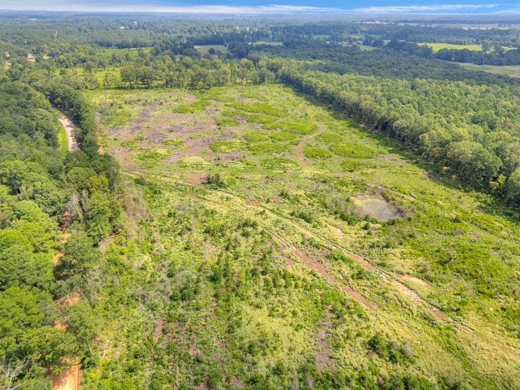 135.25 acres in Bowie County gallery image 4