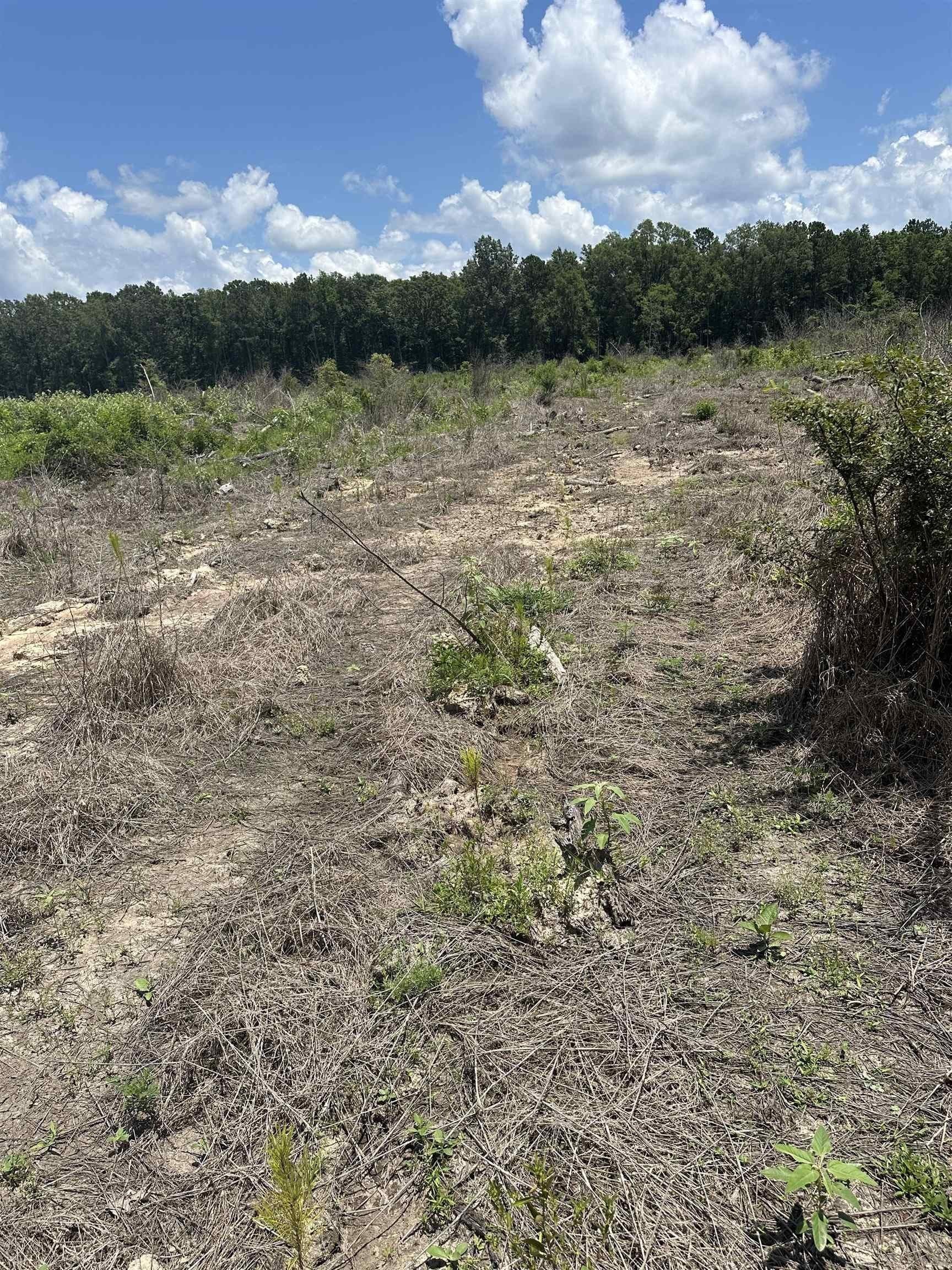 135.25 acres in Bowie County - photo 21