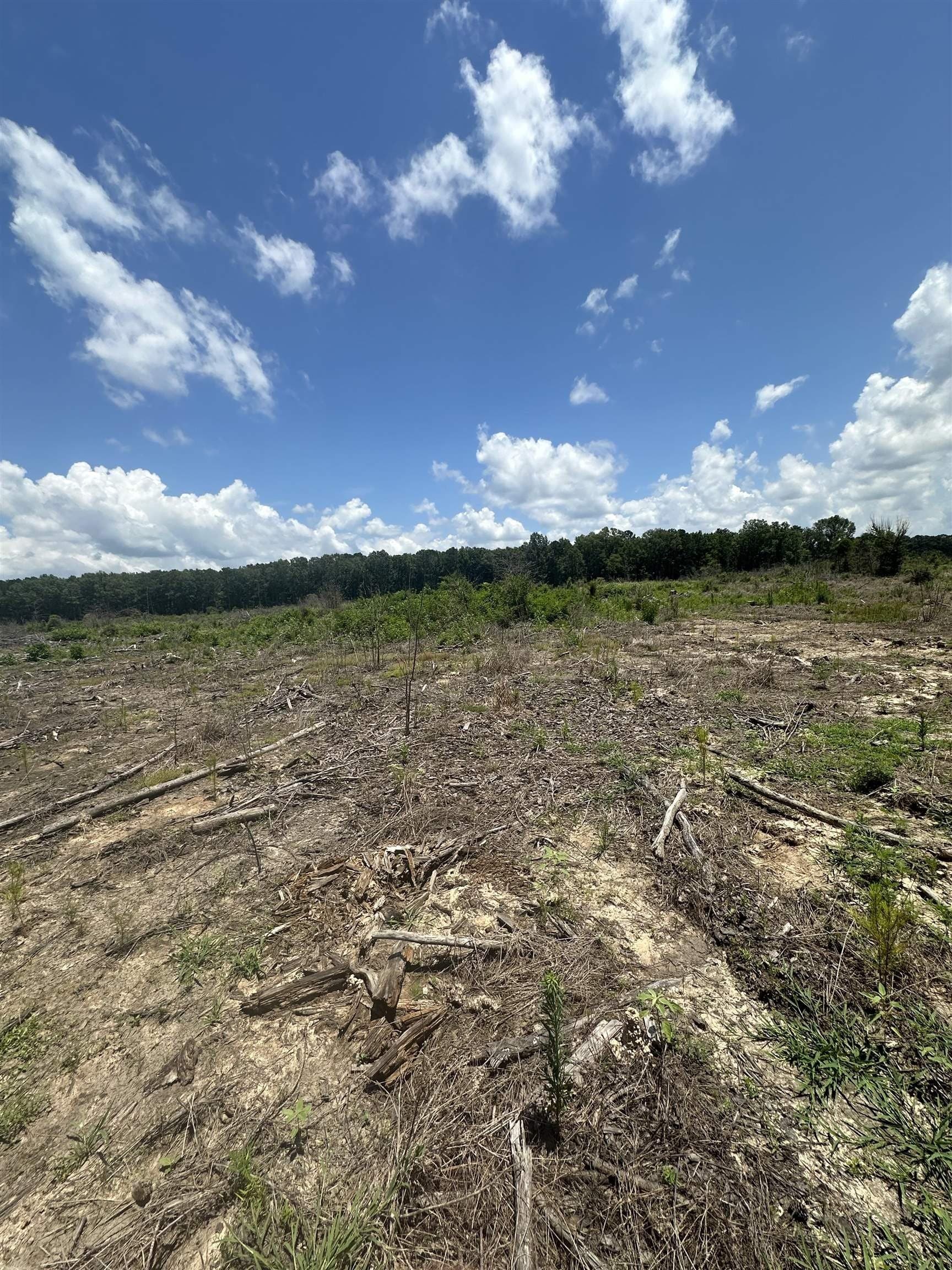135.25 acres in Bowie County - photo 18