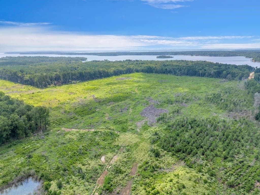 135.25 acres in Bowie County - photo 6