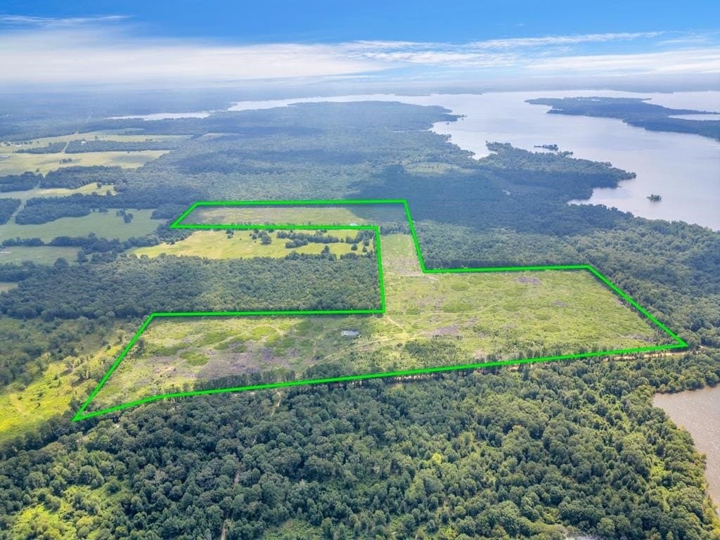 135.25 acres in Bowie County gallery image 3
