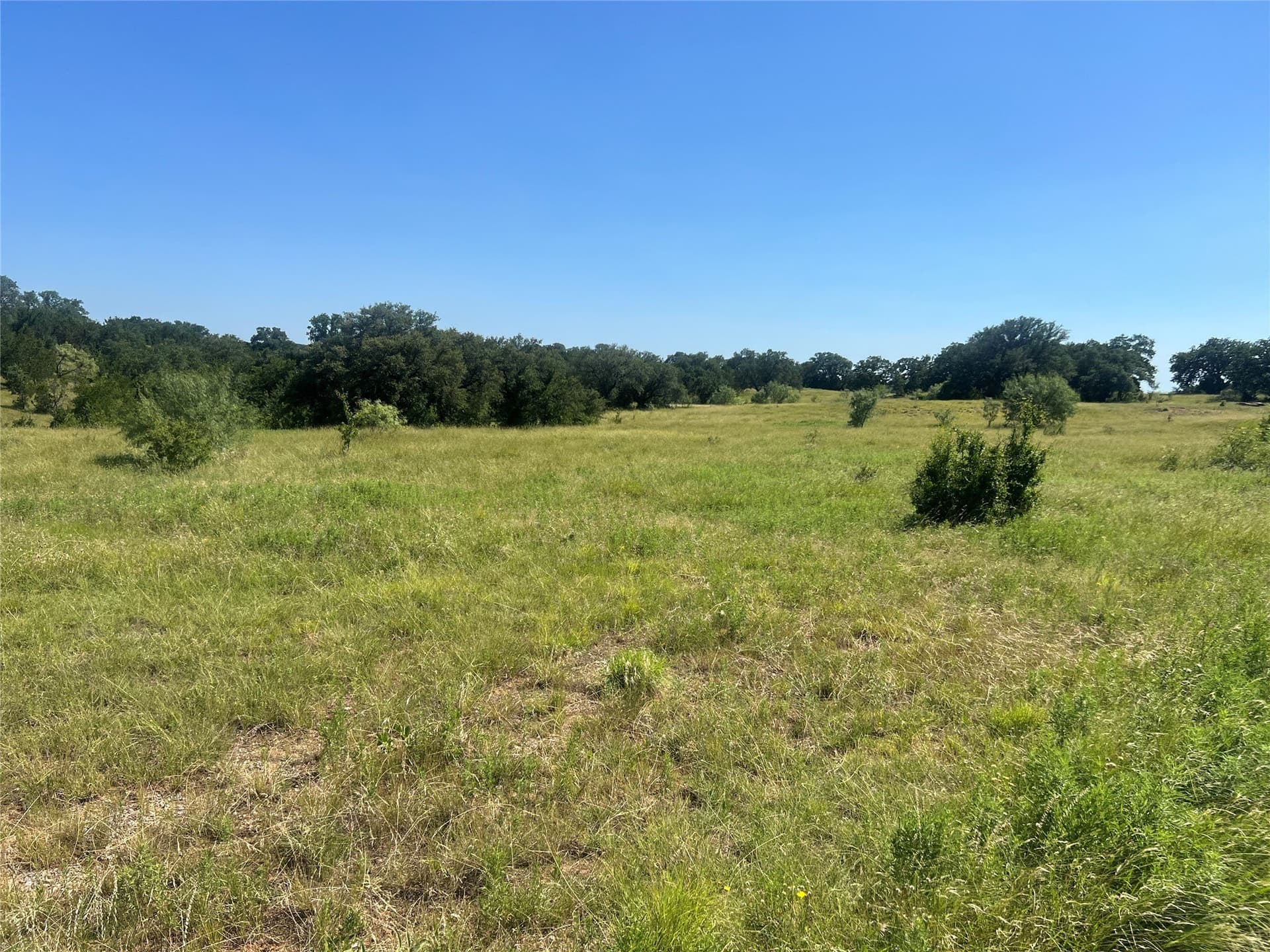5.02 acres in Palo Pinto County gallery image 3