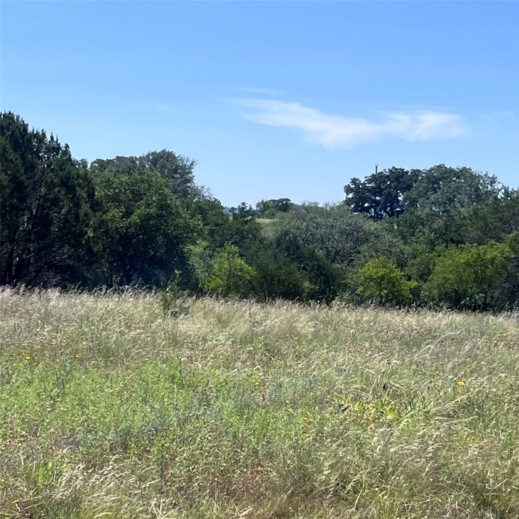 5.02 acres in Palo Pinto County gallery image 2